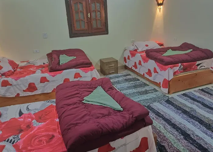 Badry Sahara Camp