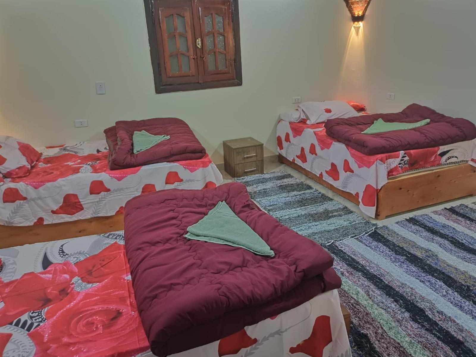 Badry Sahara Camp