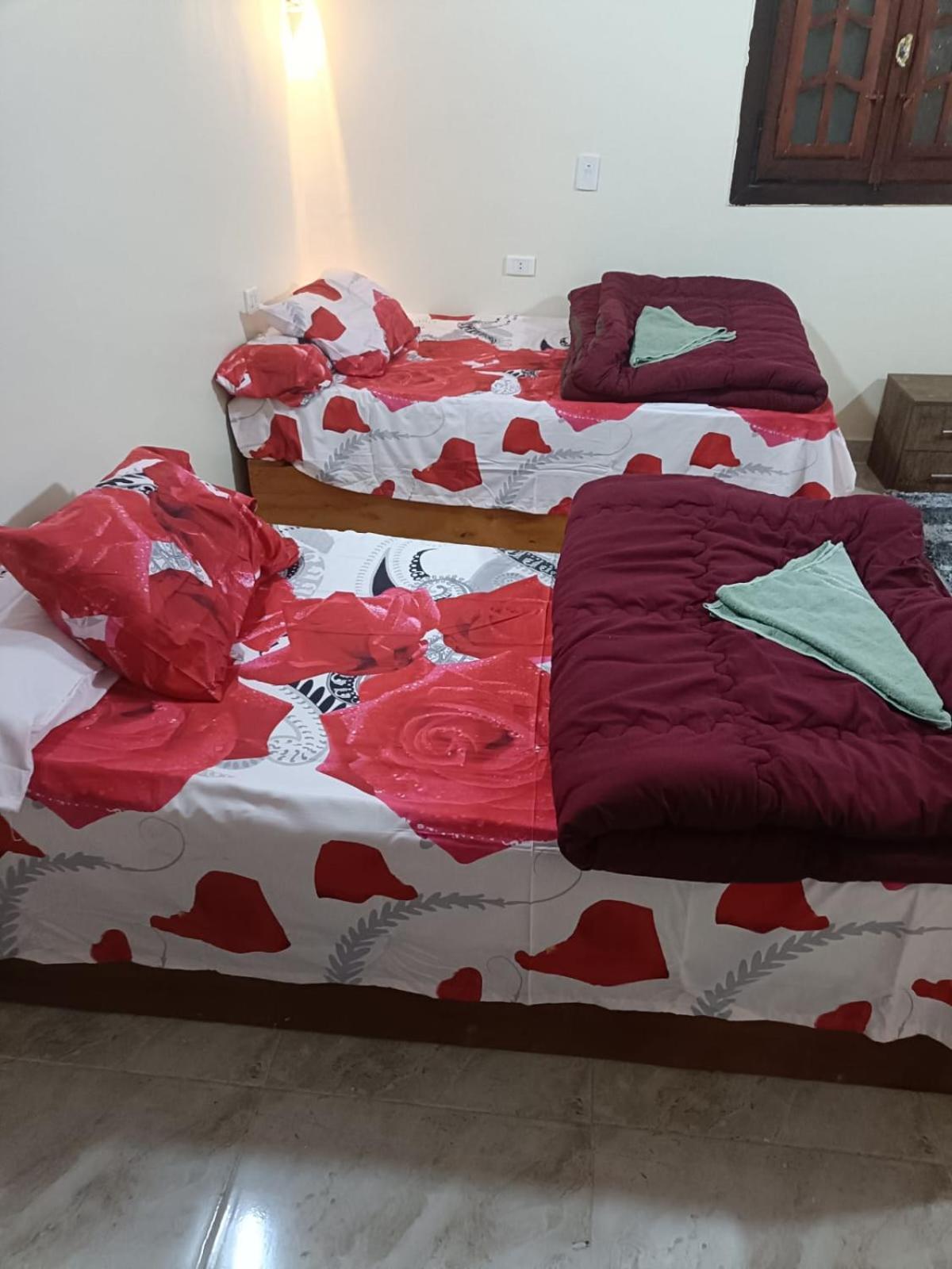 Badry Sahara Camp Campsite