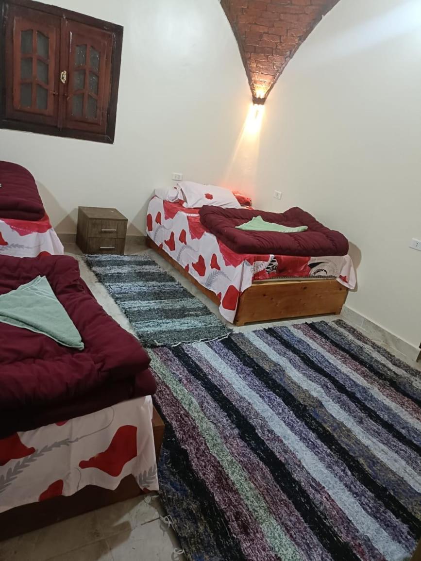 Badry Sahara Camp Campsite *