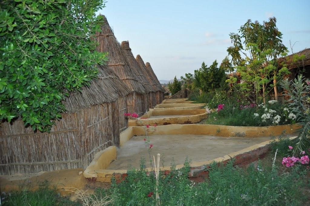 Badry Sahara Camp Bawiti