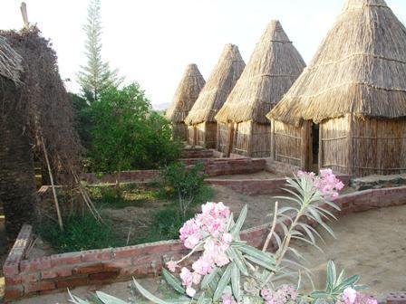 Badry Sahara Camp Bawiti